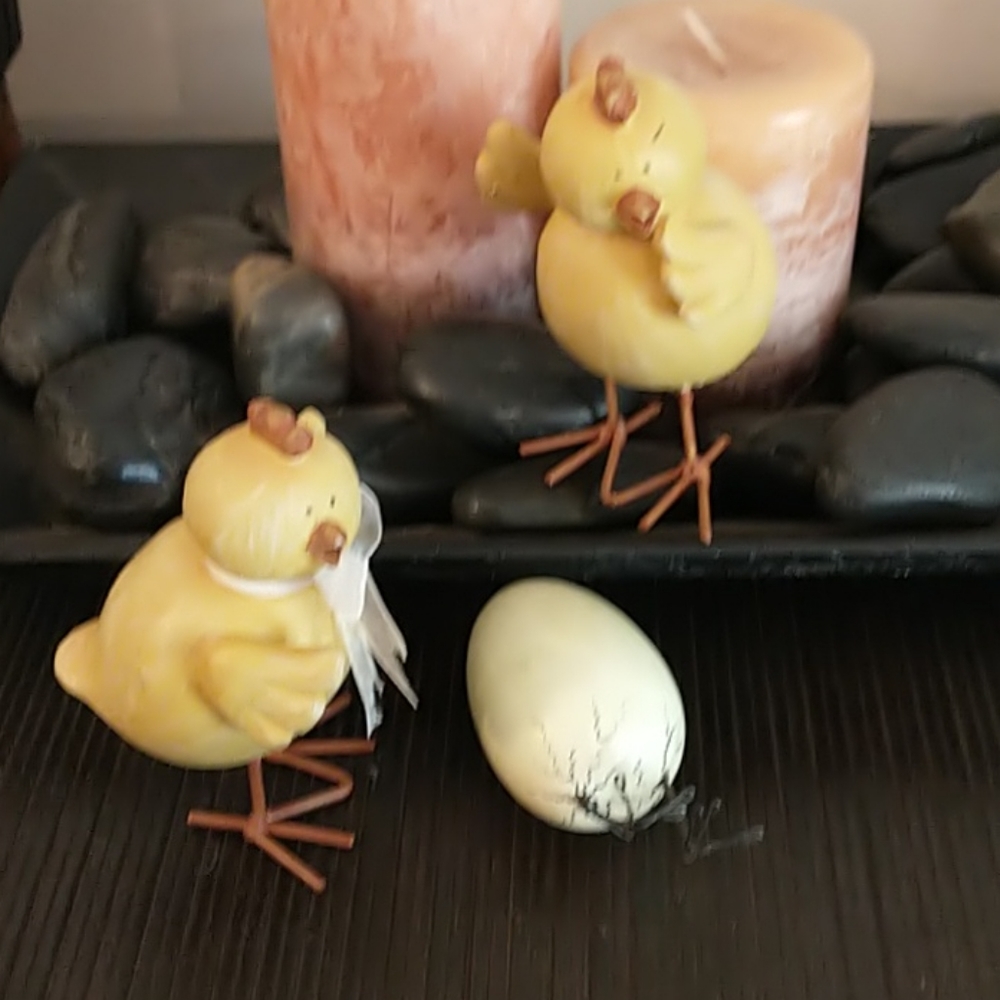 Set of little Chicks